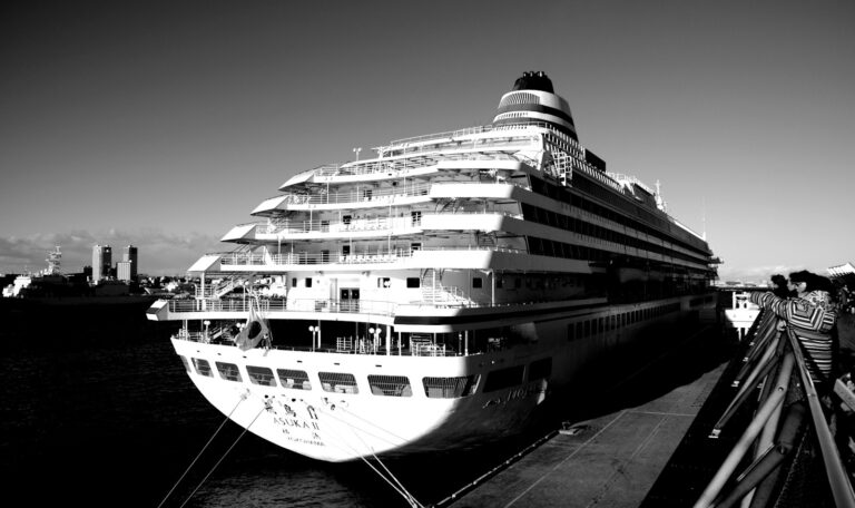 white cruiser ship on port